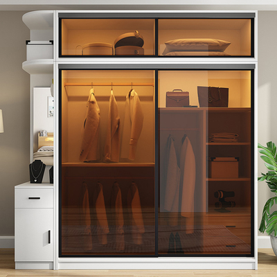 TESIA Customized Wardrobe Bedroom Furniture Glass Sliding Door Storage Cabinet