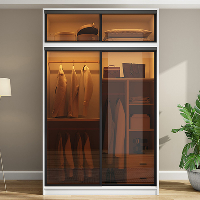TESIA Customized Wardrobe Bedroom Furniture Glass Sliding Door Storage Cabinet